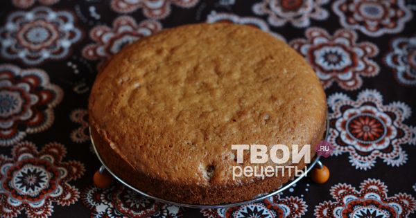 Супы на скорую руку - рецепты с фото на Повар.ру (480 рецептов супов на скорую руку) в 2019 году Супы на скорую руку - рецепты с фото на Повар.ру (480 рецептов супов на скорую руку) в 2019 году