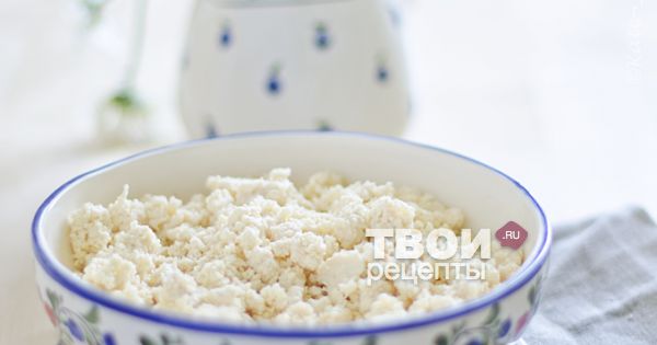 Как сделать желе из желатина в домашних условиях: правила + 10 рецептов