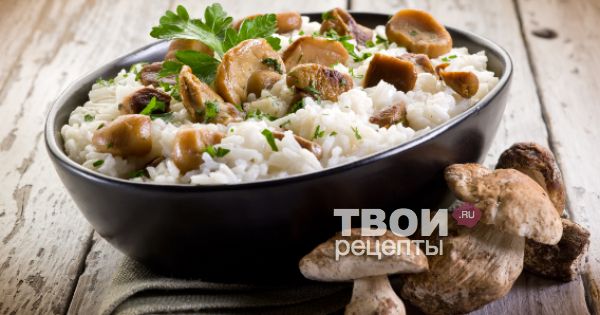ПП блюда из грибов - 51 вкусных рецептов приготовления
